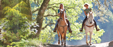  Ranch Activities Special
