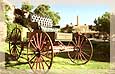 Vintage Bishop's Lodge Buggy