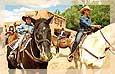 Horse Ride at Bishop's Lodge