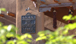 Resort Grounds Gallery 8