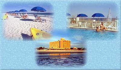 Sea Turtle Inn