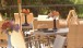 Dining Gallery 3